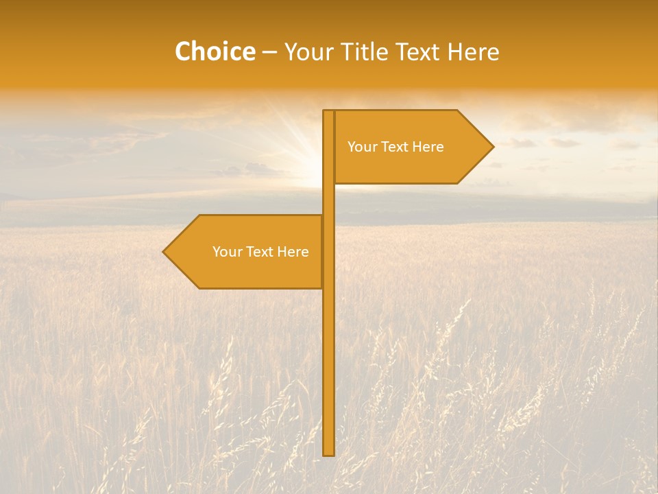 Design Card Beauty PowerPoint Template