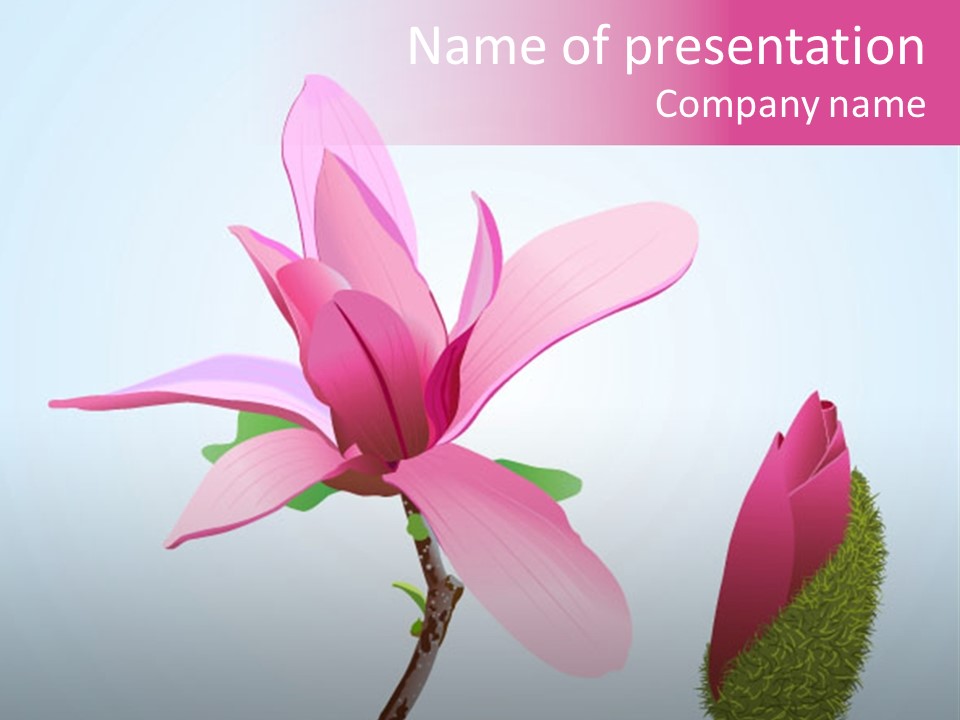 Flower Illustration Spring PowerPoint Template