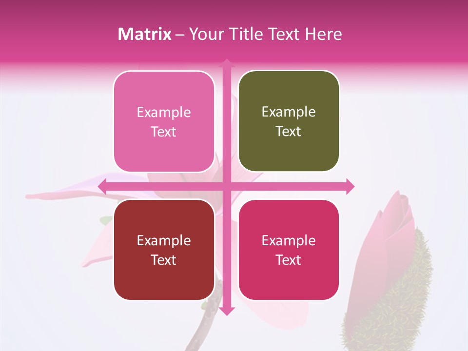 Flower Illustration Spring PowerPoint Template