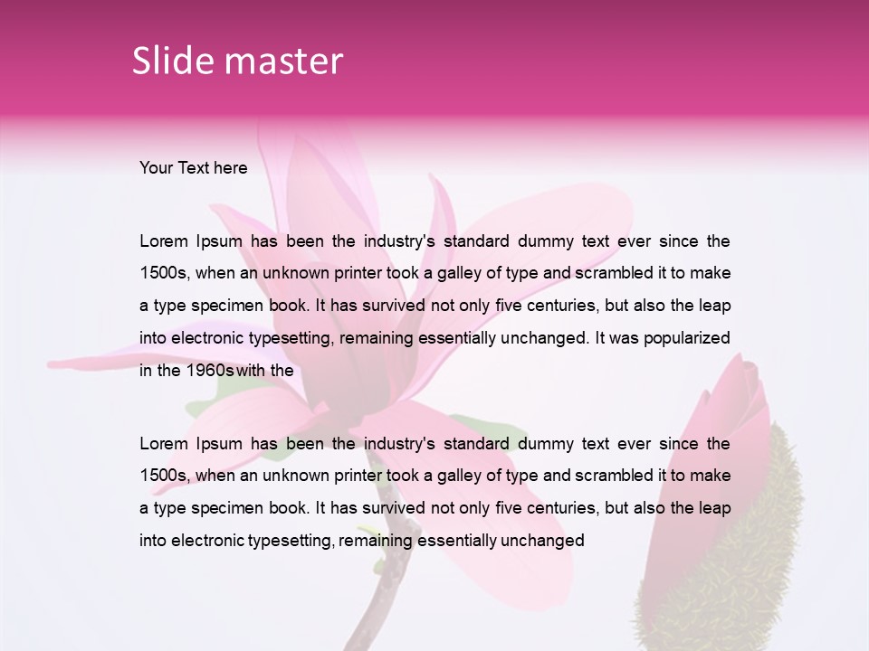 Flower Illustration Spring PowerPoint Template