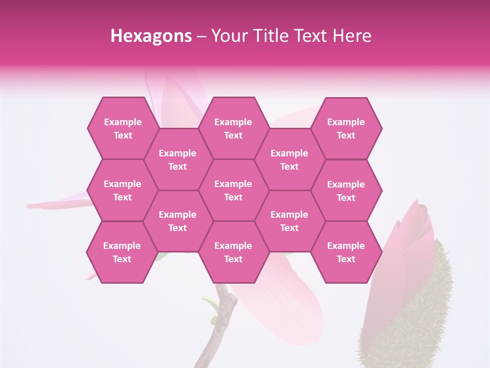 Flower Illustration Spring PowerPoint Template