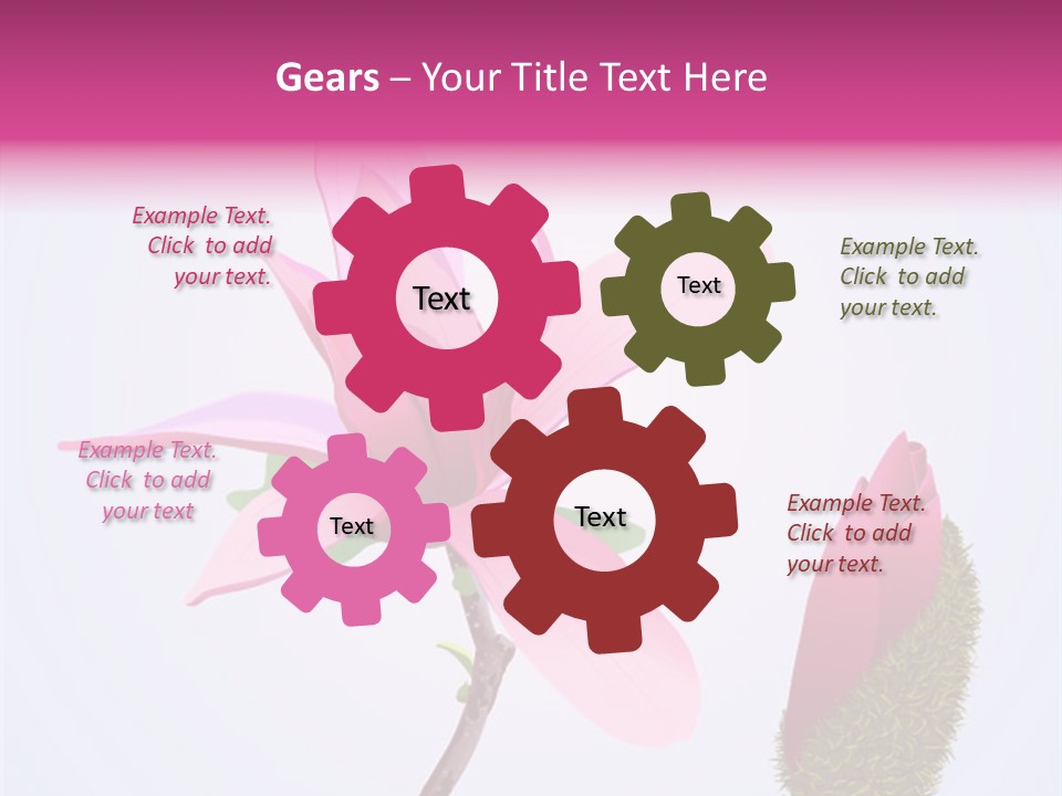 Flower Illustration Spring PowerPoint Template