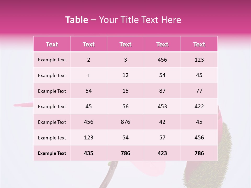 Flower Illustration Spring PowerPoint Template