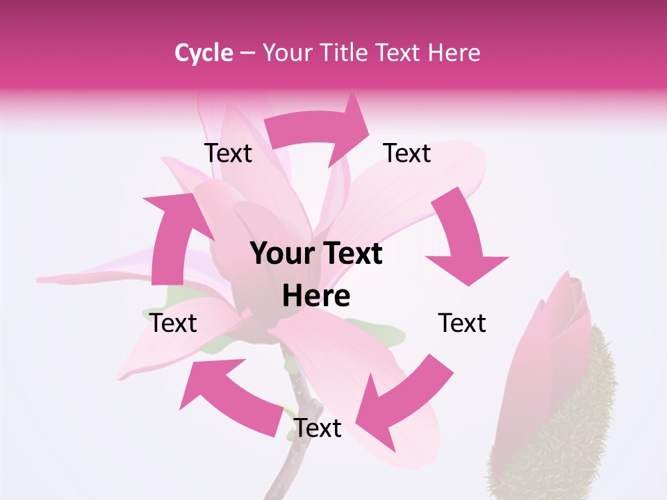 Flower Illustration Spring PowerPoint Template