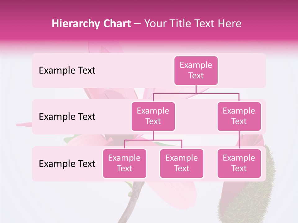 Flower Illustration Spring PowerPoint Template