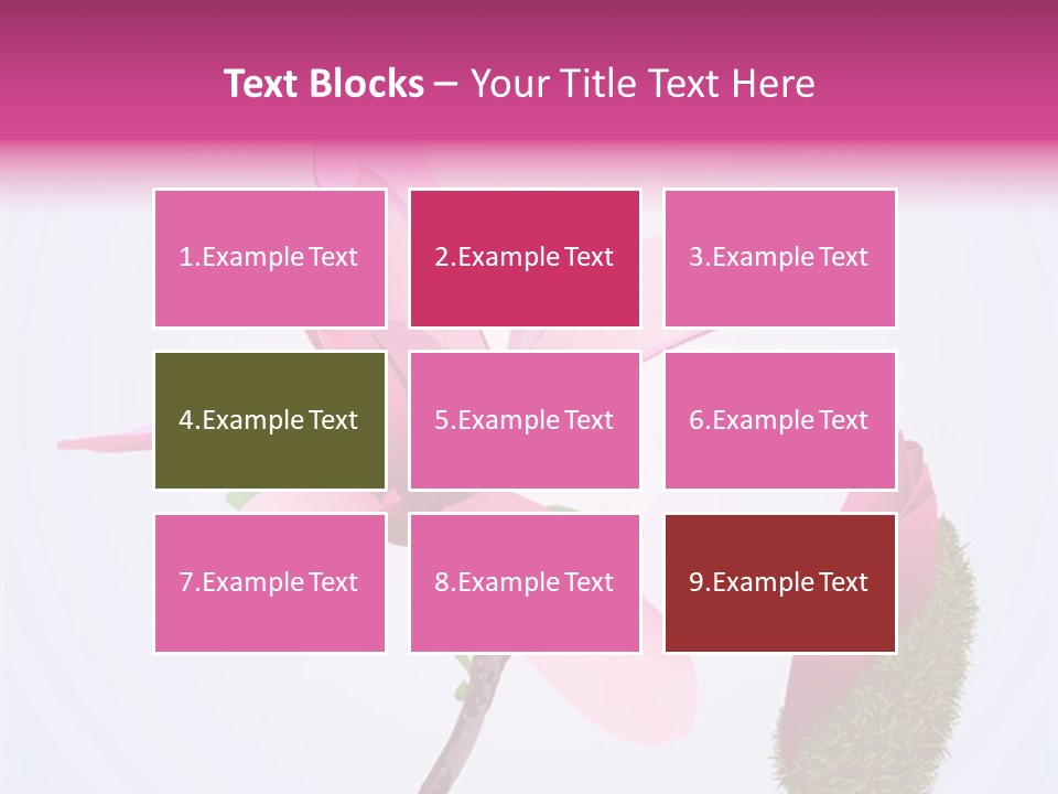 Flower Illustration Spring PowerPoint Template