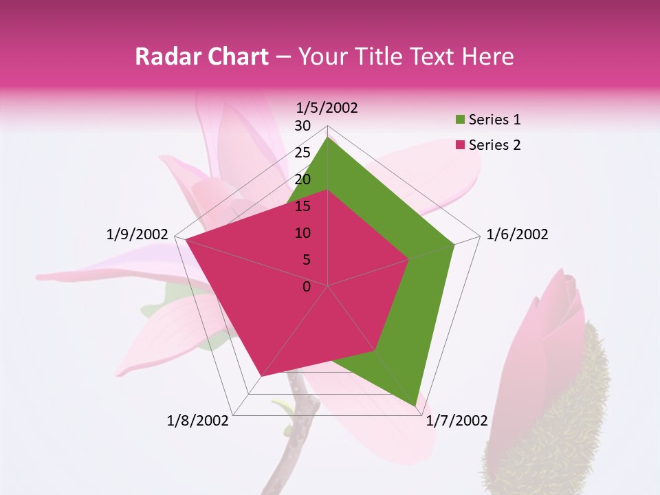 Flower Illustration Spring PowerPoint Template