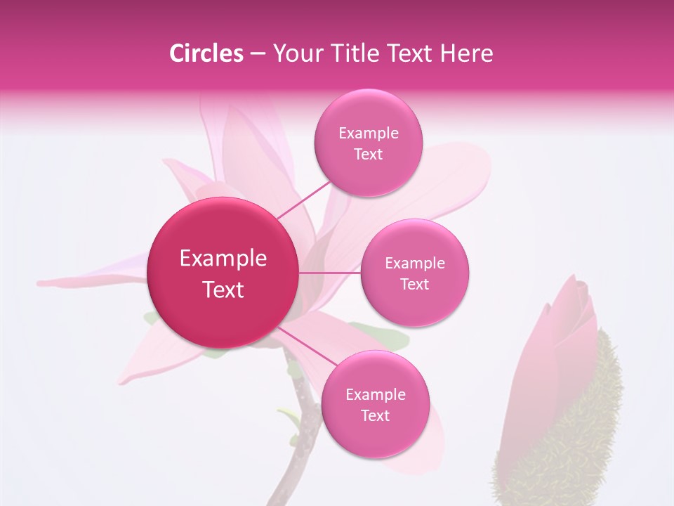 Flower Illustration Spring PowerPoint Template