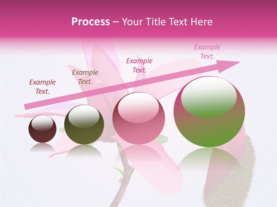 Flower Illustration Spring PowerPoint Template