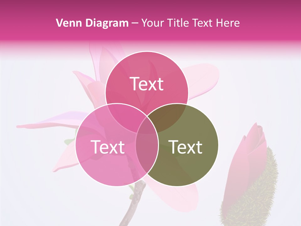 Flower Illustration Spring PowerPoint Template
