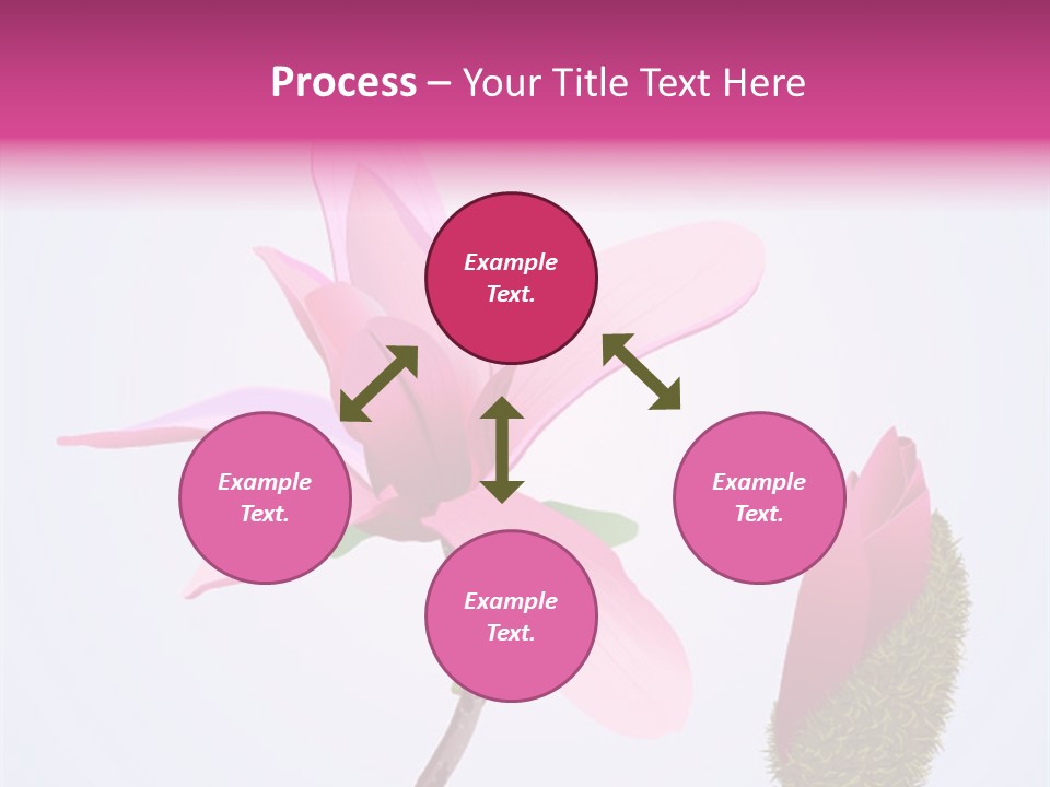 Flower Illustration Spring PowerPoint Template