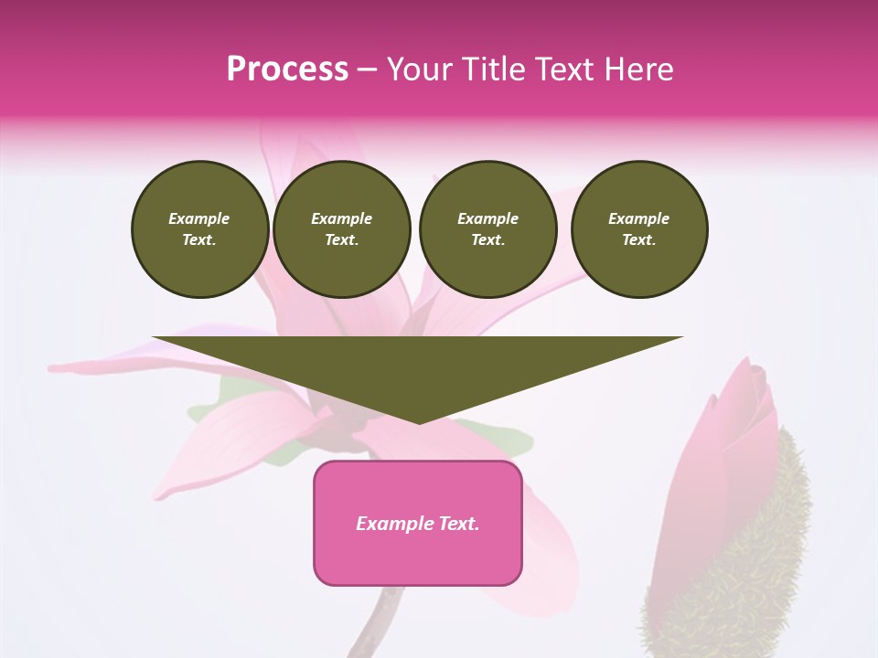 Flower Illustration Spring PowerPoint Template