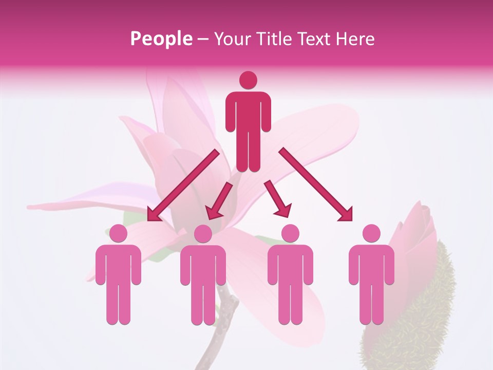 Flower Illustration Spring PowerPoint Template