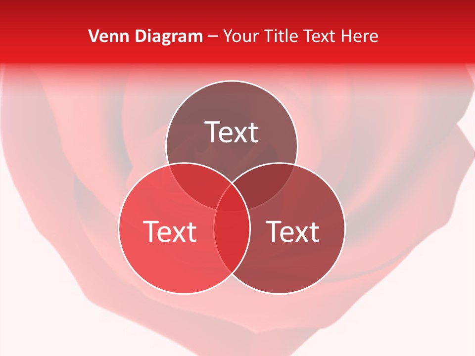 Time Connection Light PowerPoint Template