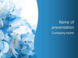 Card Macro Textural PowerPoint Template