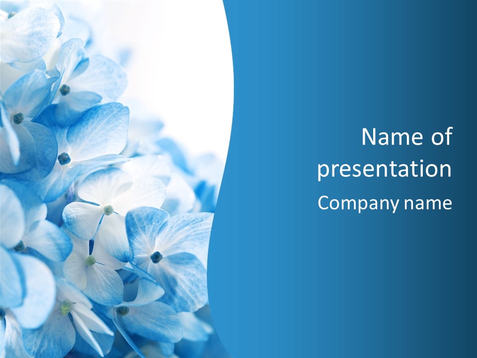 Card Macro Textural PowerPoint Template