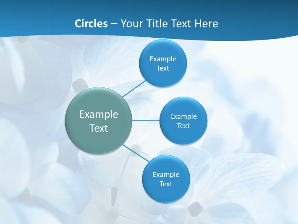 Card Macro Textural PowerPoint Template