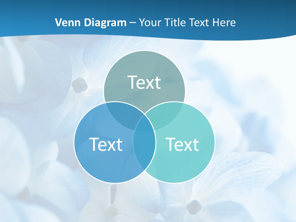 Card Macro Textural PowerPoint Template