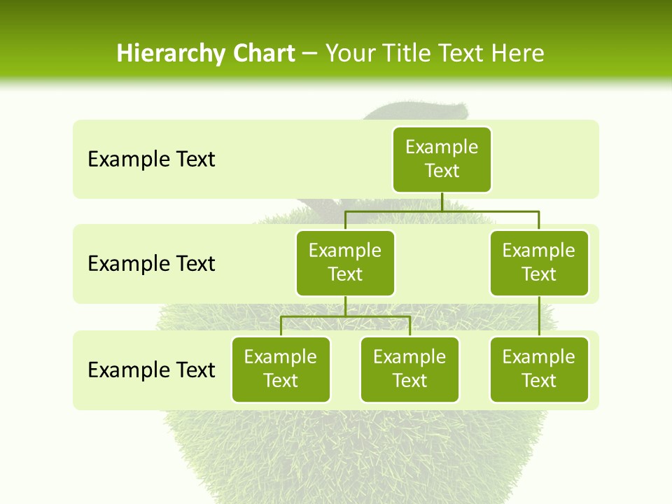 Fruit Dieting Health PowerPoint Template