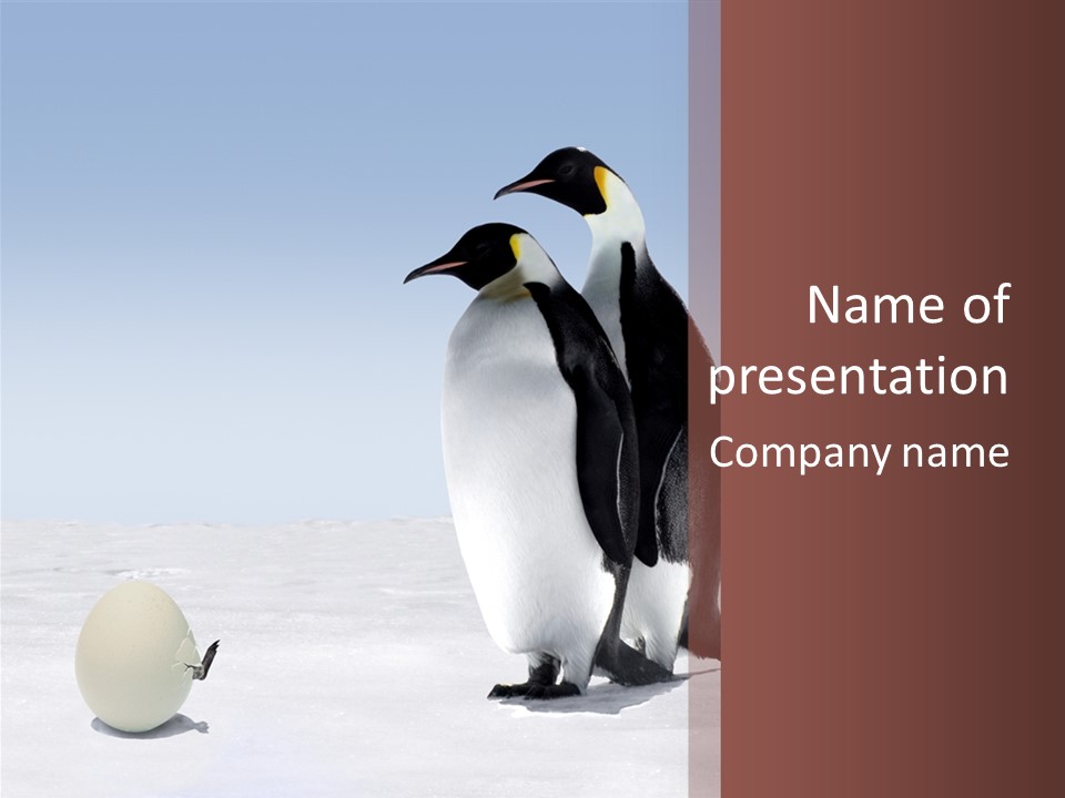 Two Penguins Standing Next To Each Other In The Snow PowerPoint Template