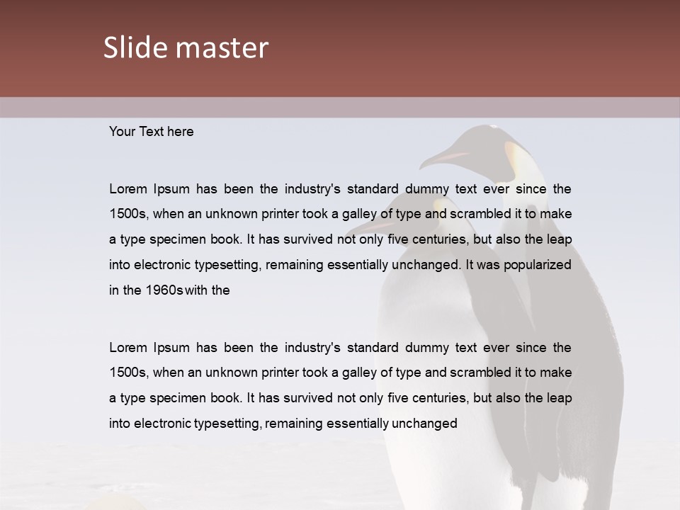 Two Penguins Standing Next To Each Other In The Snow PowerPoint Template