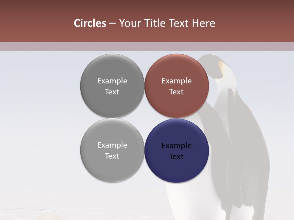 Two Penguins Standing Next To Each Other In The Snow PowerPoint Template