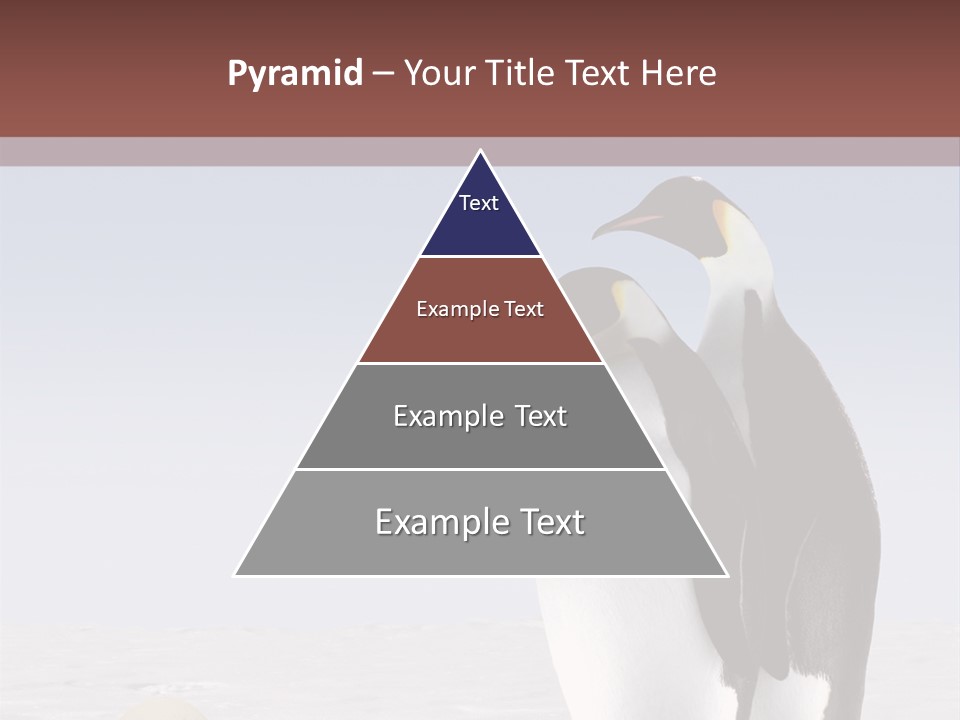 Two Penguins Standing Next To Each Other In The Snow PowerPoint Template