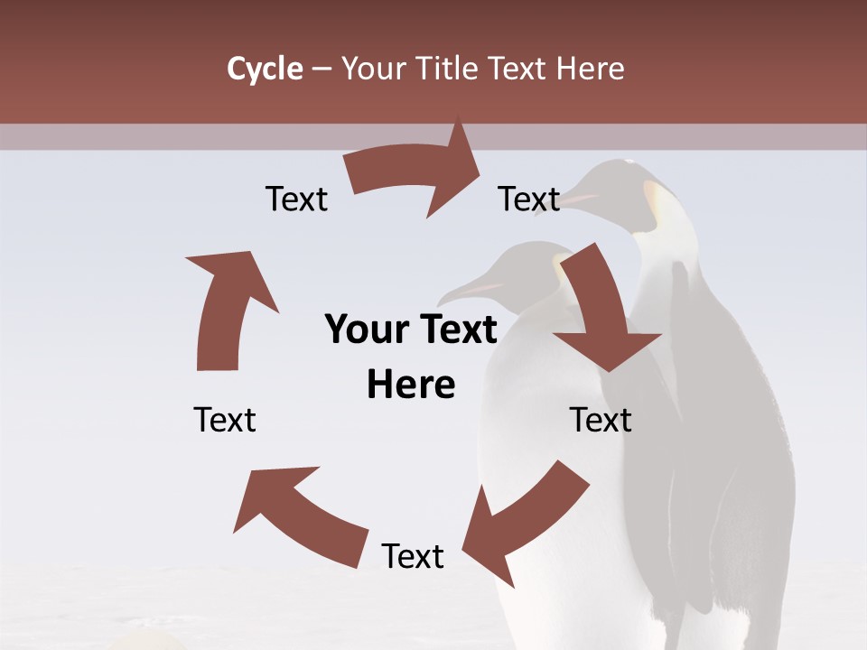Two Penguins Standing Next To Each Other In The Snow PowerPoint Template