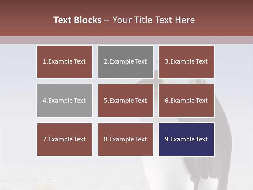 Two Penguins Standing Next To Each Other In The Snow PowerPoint Template