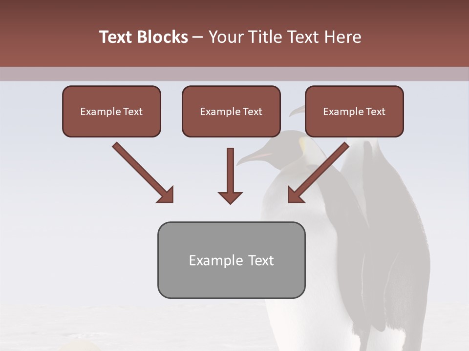 Two Penguins Standing Next To Each Other In The Snow PowerPoint Template