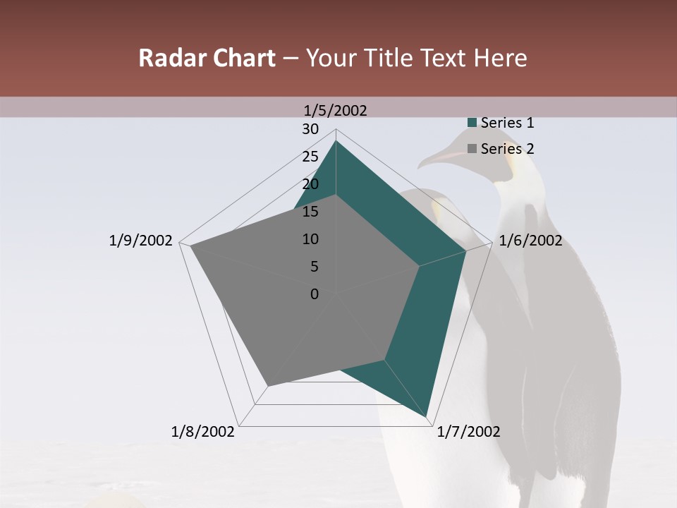 Two Penguins Standing Next To Each Other In The Snow PowerPoint Template