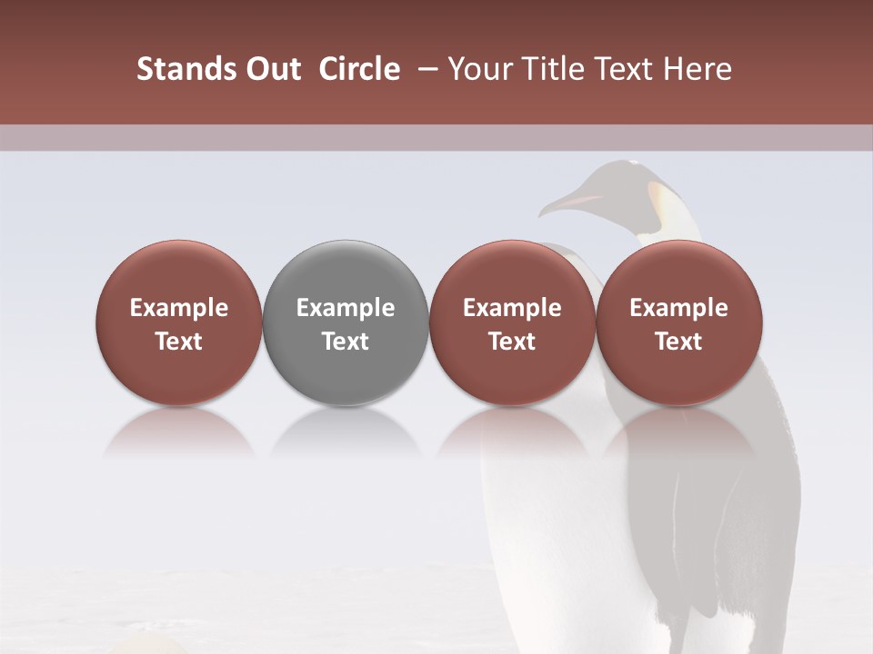 Two Penguins Standing Next To Each Other In The Snow PowerPoint Template