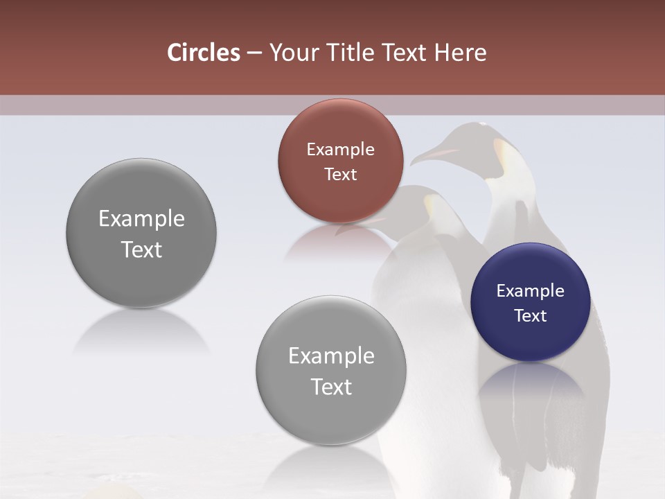 Two Penguins Standing Next To Each Other In The Snow PowerPoint Template