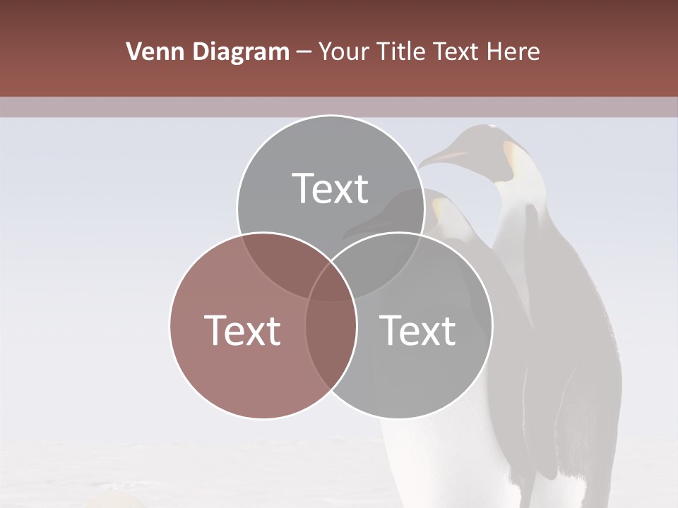 Two Penguins Standing Next To Each Other In The Snow PowerPoint Template