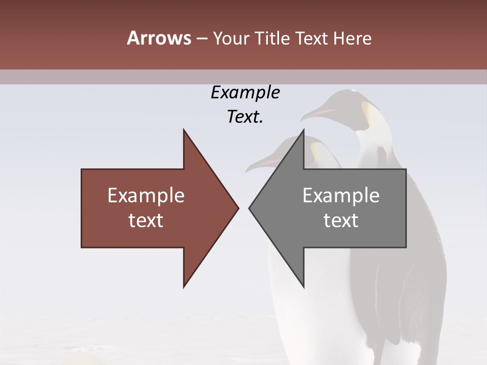 Two Penguins Standing Next To Each Other In The Snow PowerPoint Template