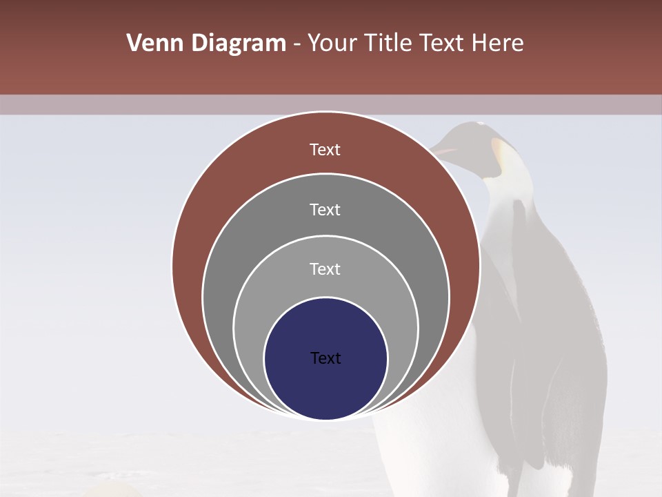 Two Penguins Standing Next To Each Other In The Snow PowerPoint Template