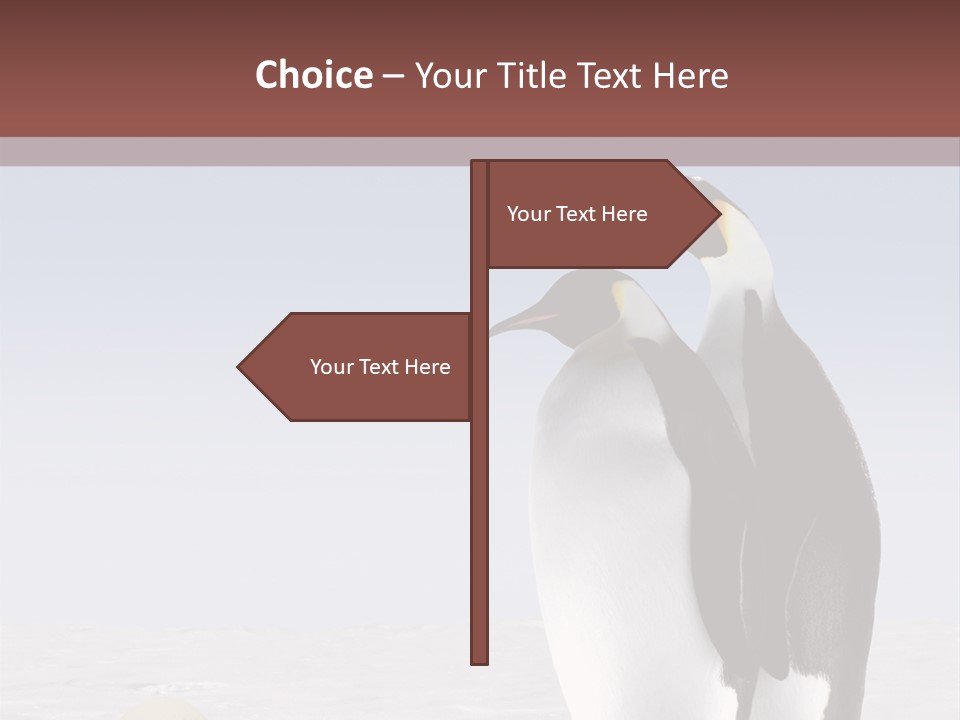 Two Penguins Standing Next To Each Other In The Snow PowerPoint Template