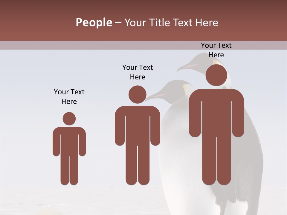 Two Penguins Standing Next To Each Other In The Snow PowerPoint Template