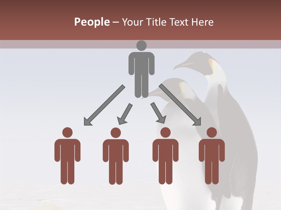 Two Penguins Standing Next To Each Other In The Snow PowerPoint Template