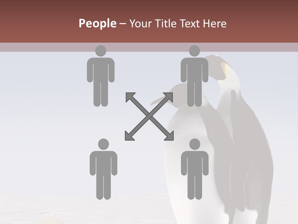 Two Penguins Standing Next To Each Other In The Snow PowerPoint Template