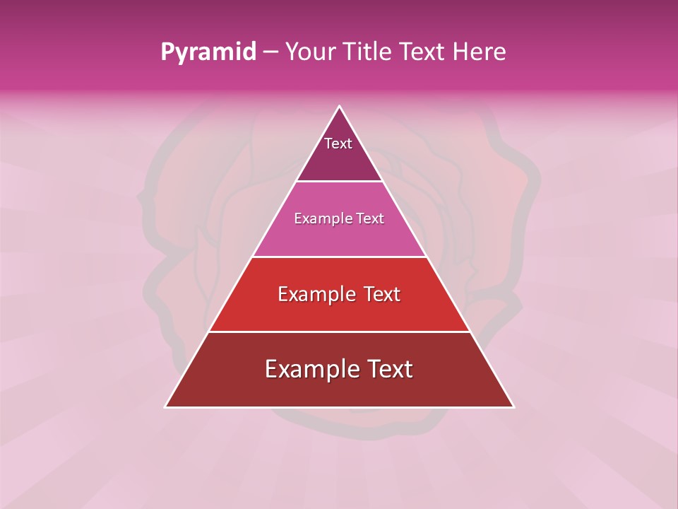 A Red Rose On A Pink Background With Rays PowerPoint Template