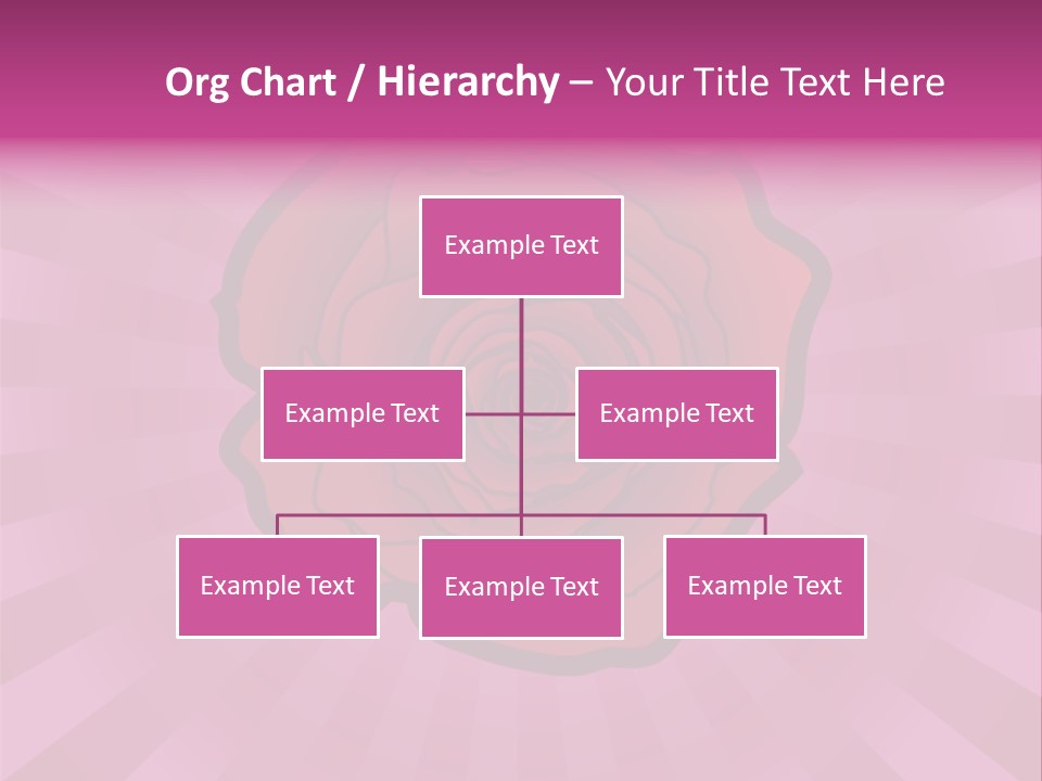 A Red Rose On A Pink Background With Rays PowerPoint Template