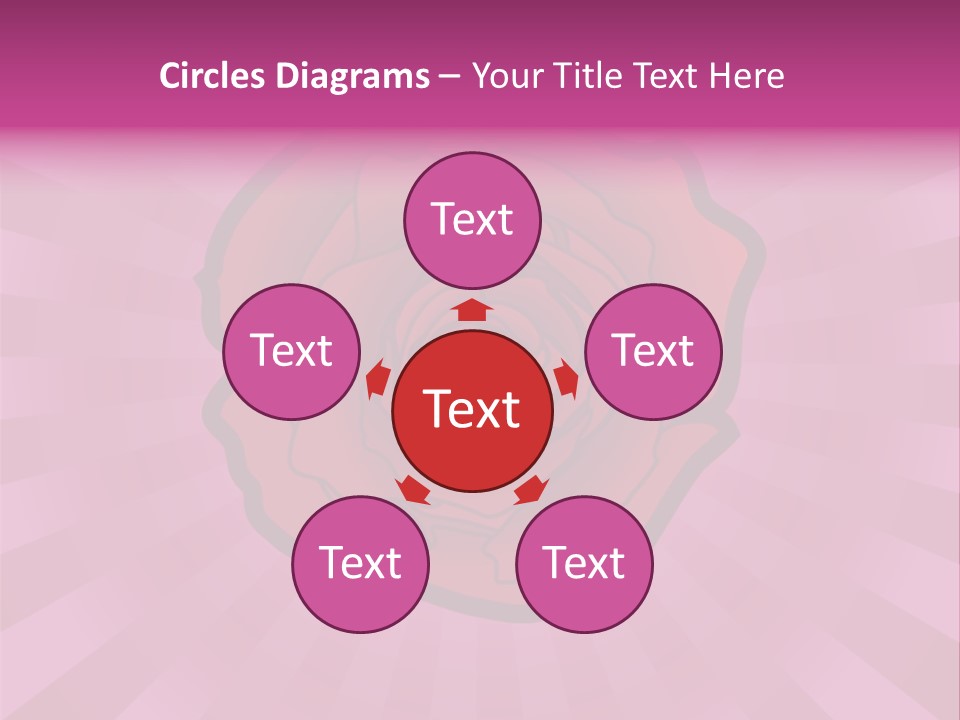 A Red Rose On A Pink Background With Rays PowerPoint Template