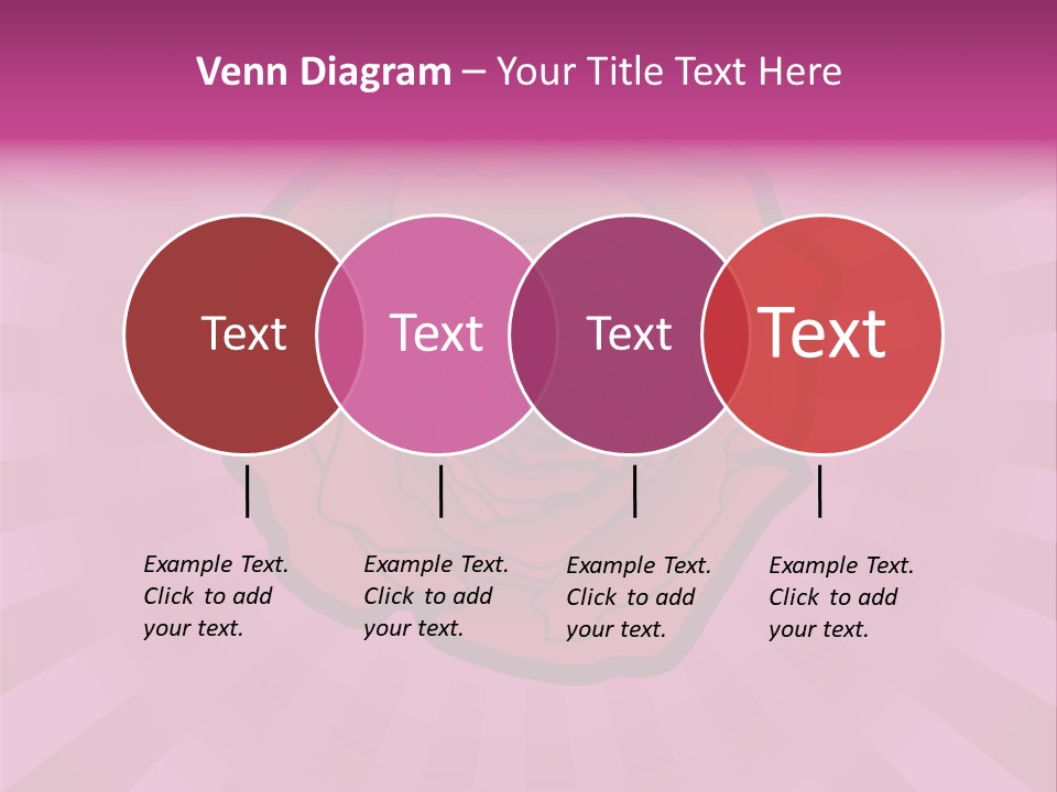 A Red Rose On A Pink Background With Rays PowerPoint Template