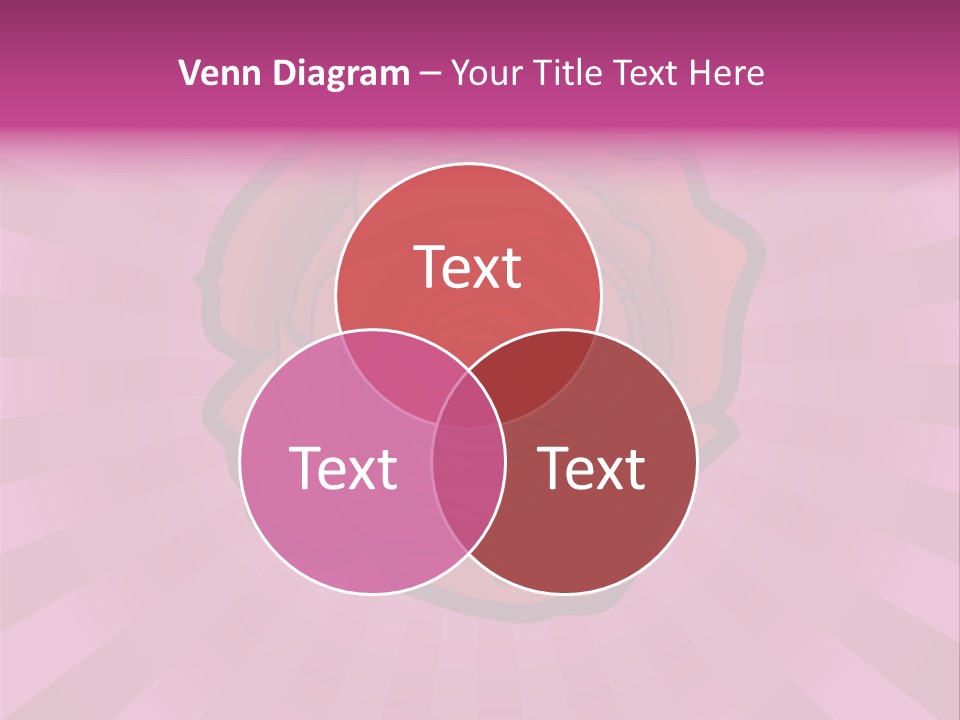 A Red Rose On A Pink Background With Rays PowerPoint Template
