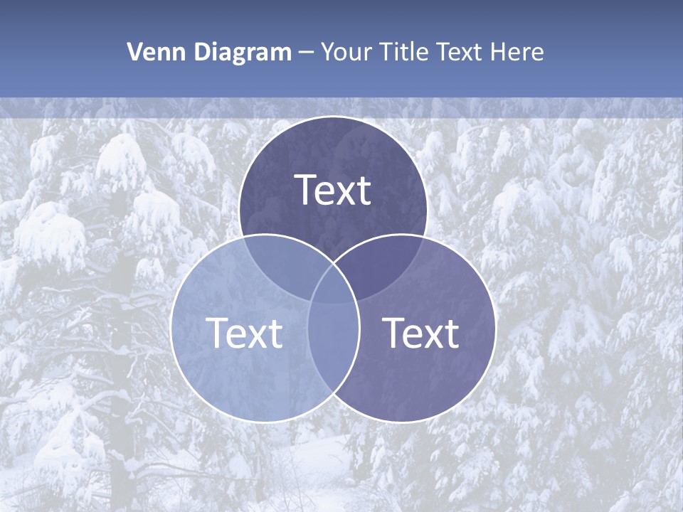 A Group Of People Walking Through A Snow Covered Forest PowerPoint Template