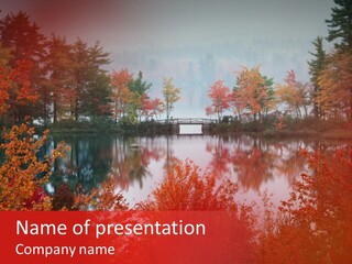 A Lake Surrounded By Trees With A Bridge In The Background PowerPoint Template