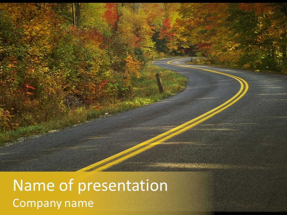A Road With A Curve In The Middle Surrounded By Trees PowerPoint Template