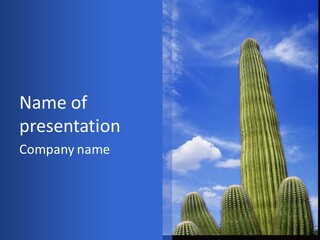 A Large Cactus In The Middle Of A Blue Sky PowerPoint Template