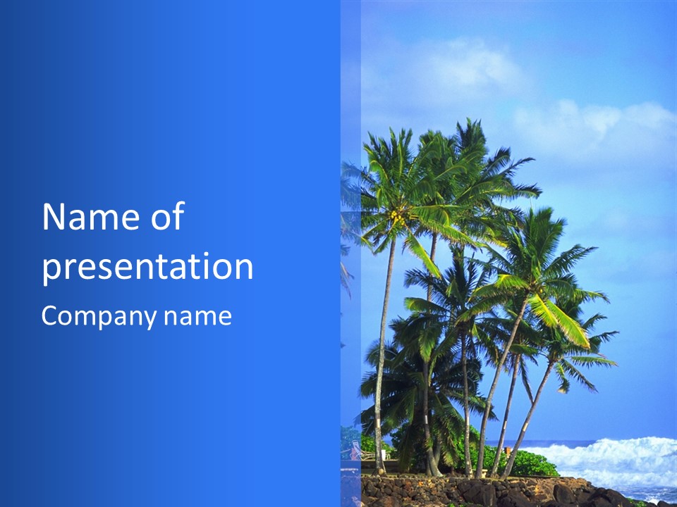 A Palm Tree On The Beach With The Ocean In The Background PowerPoint Template